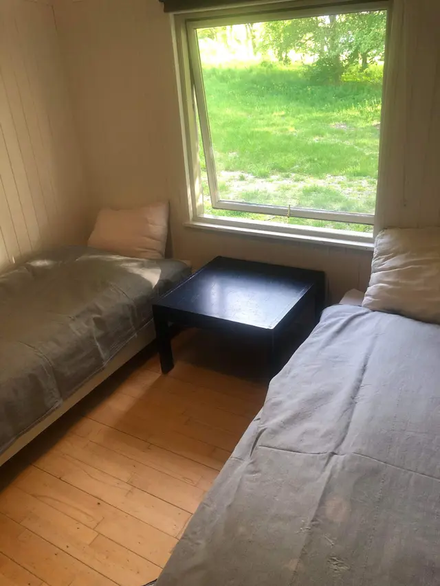 Værelse med senge og vindue mod haven