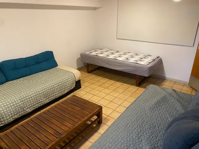 Sofa og daybed i kælderens opholdsrum