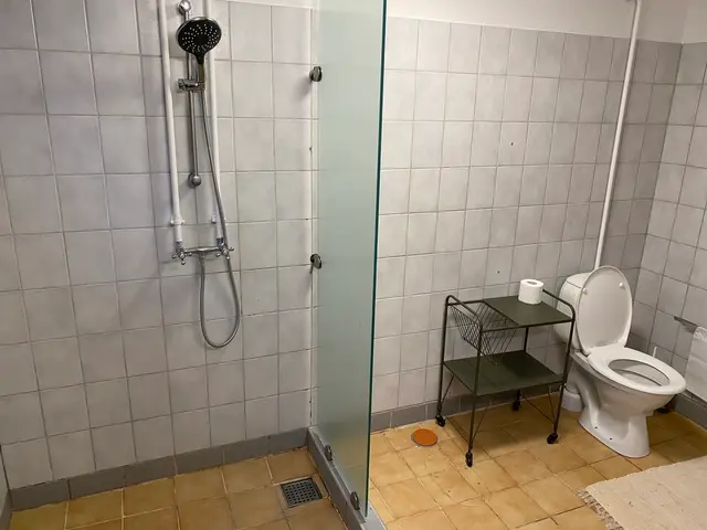 Bruser med glasvæg og toilet